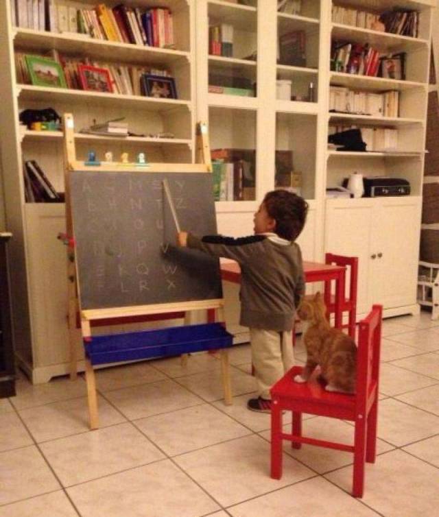 Morning Picdump