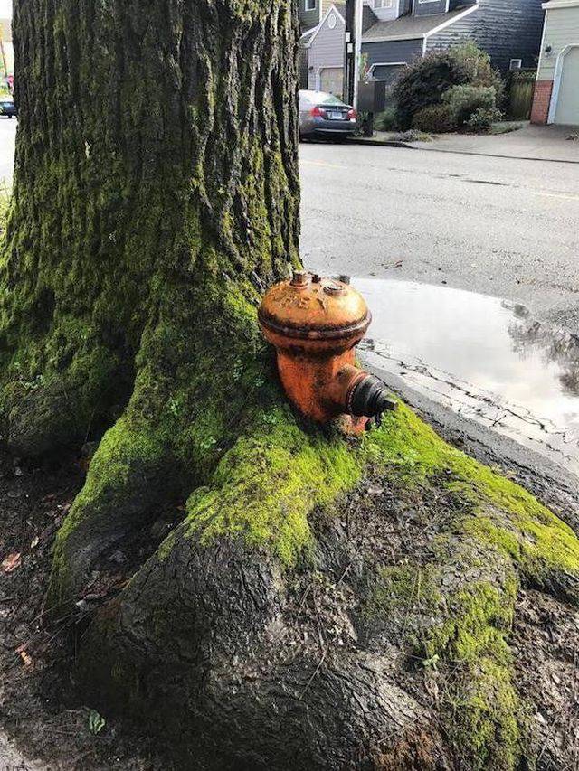 Morning Picdump