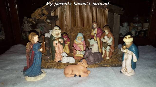 Daily Picdump