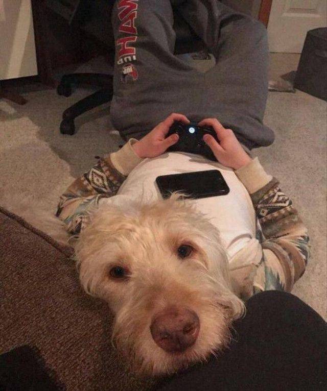 Content Image
