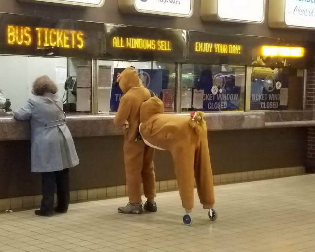 Content Image