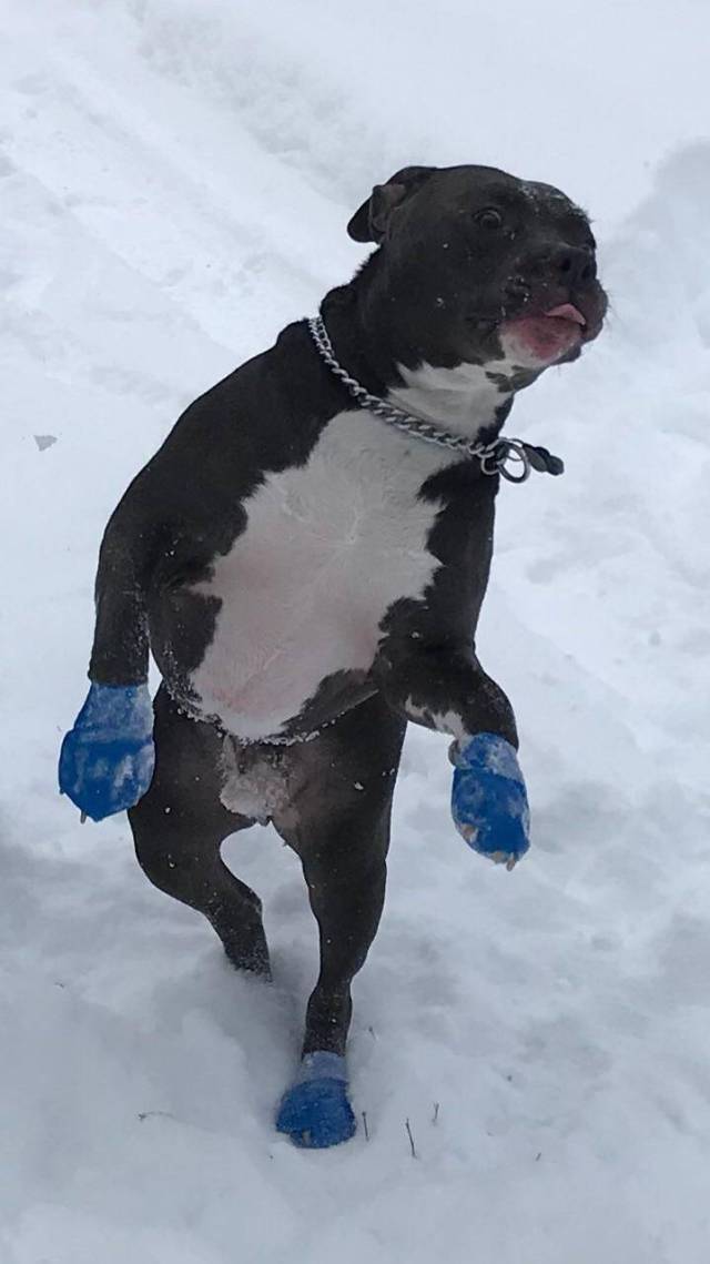 Content Image