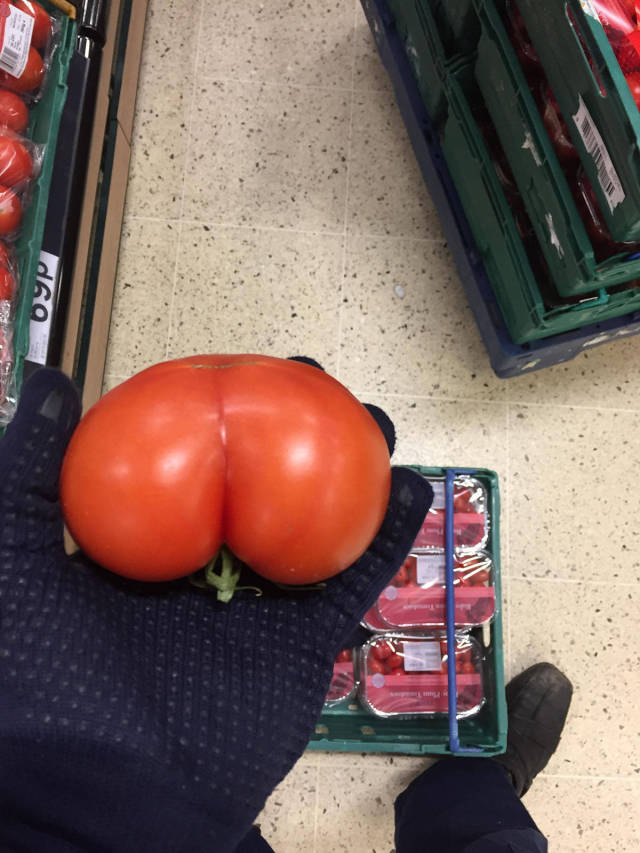 Content Image