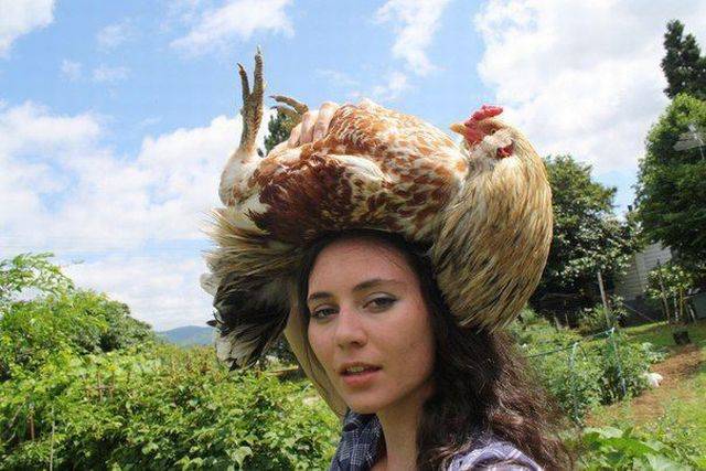 Daily Picdump