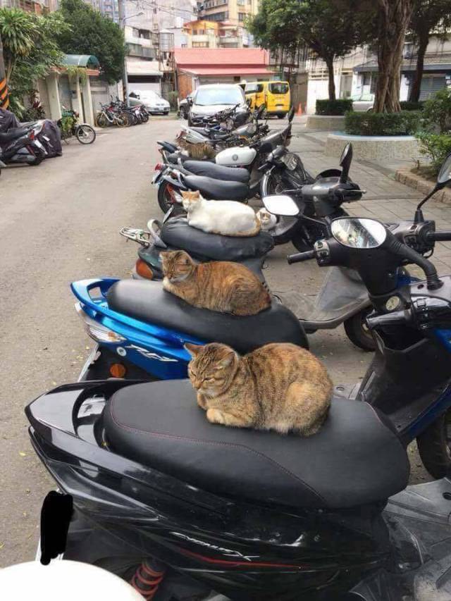 Daily Picdump