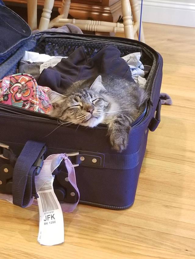 Daily Picdump