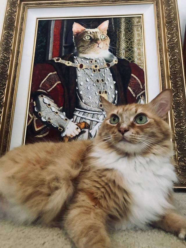 Content Image