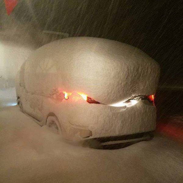 Daily Picdump [WEEKEND EDITION]