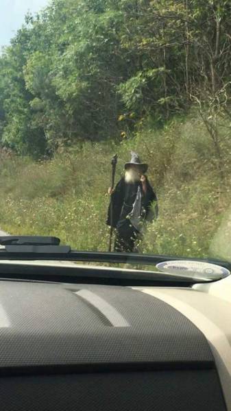 Daily Picdump [WEEKEND EDITION]