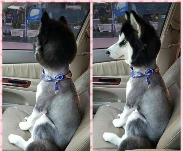 Content Image