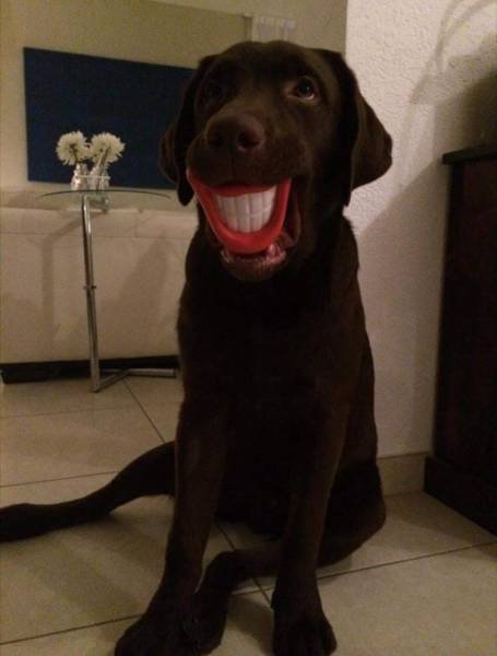 Content Image
