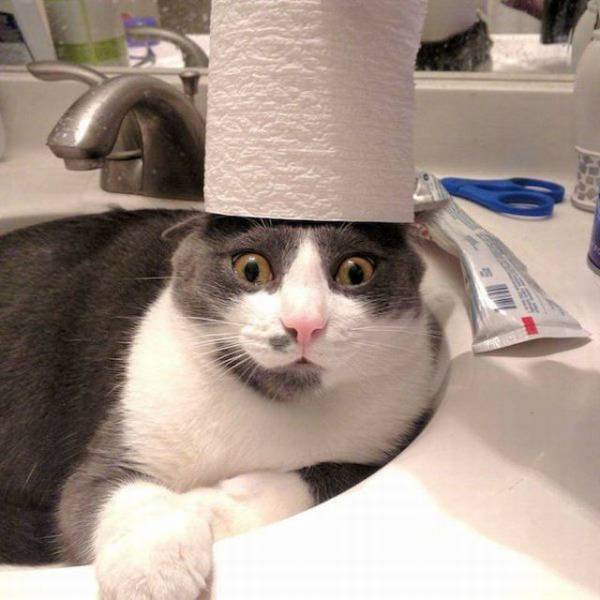 Daily Picdump
