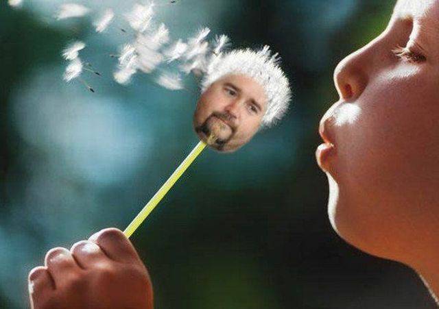 Content Image