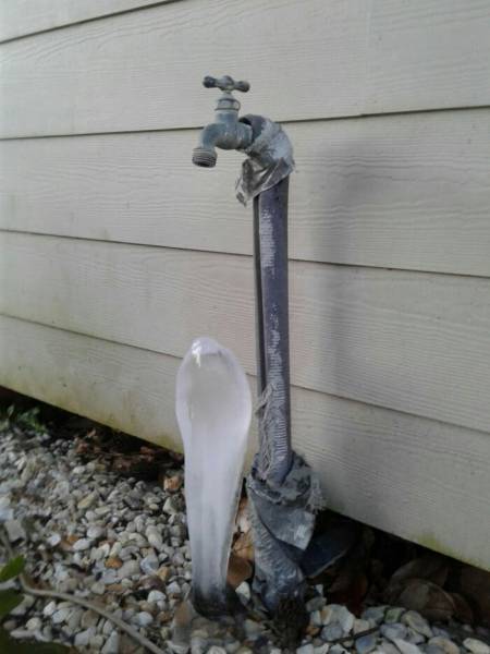 Content Image