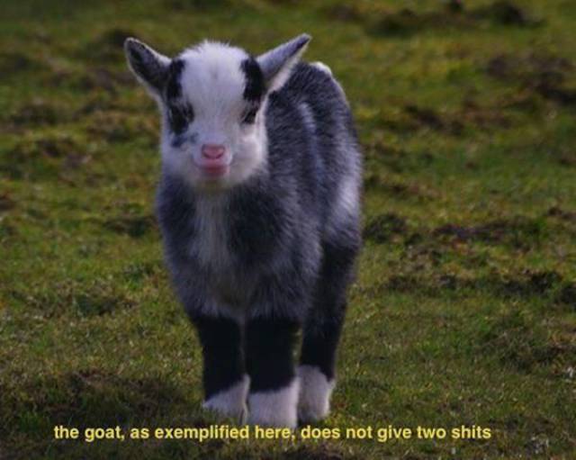 Content Image