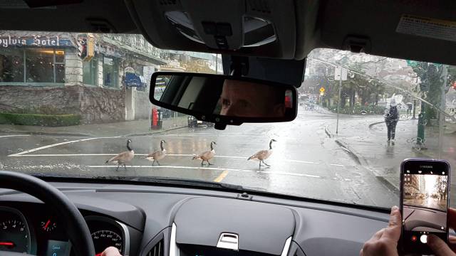 Daily Picdump [WEEKEND EDITION]