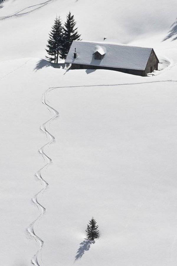 Daily Picdump [WEEKEND EDITION]