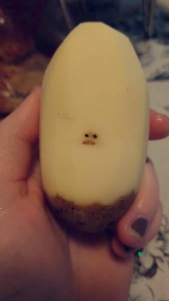 Morning Picdump