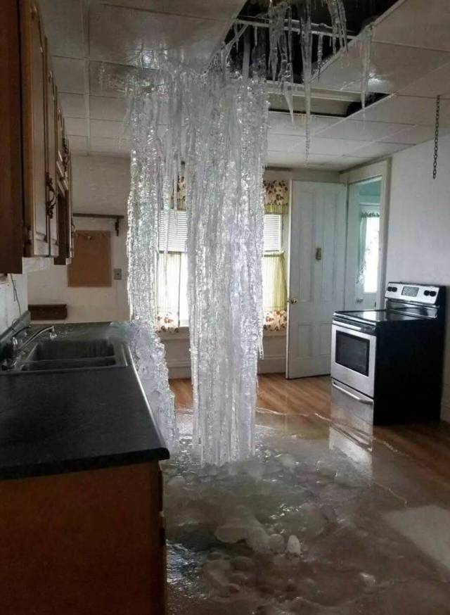 Content Image