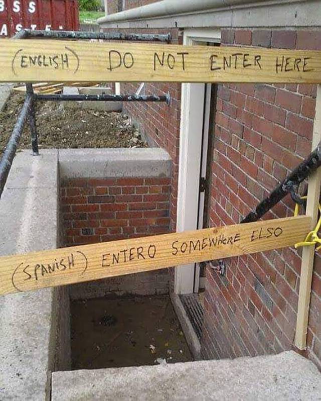 Content Image
