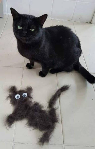 Content Image