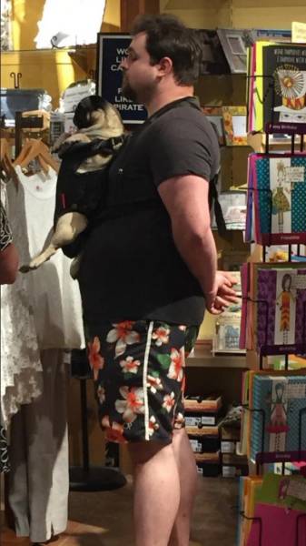 Morning Picdump