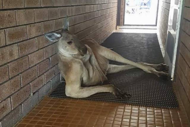 Morning Picdump