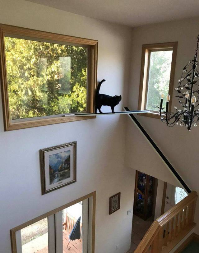 Content Image