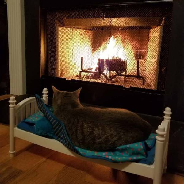 Daily Picdump