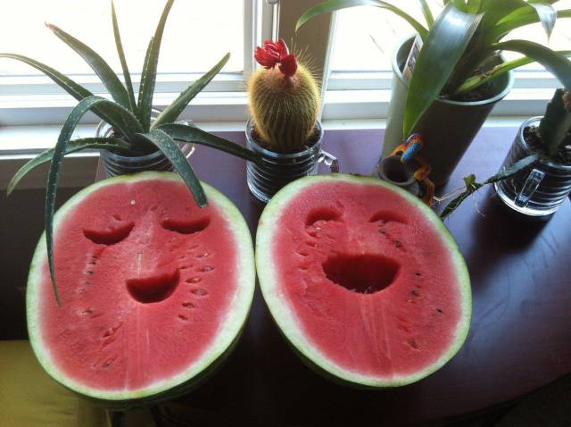 Daily Picdump