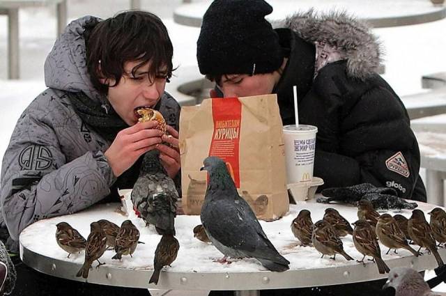 Daily Picdump