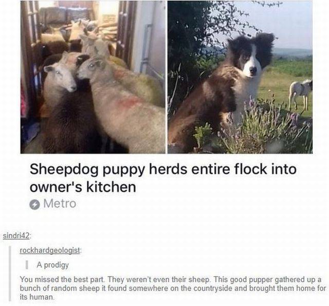 Daily Picdump