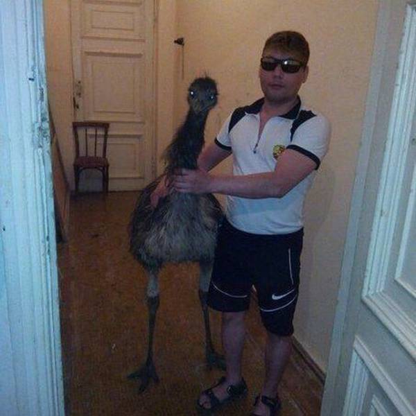 Content Image