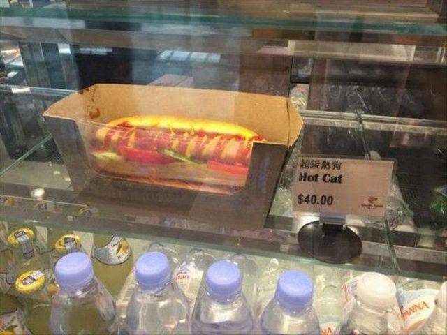 Content Image