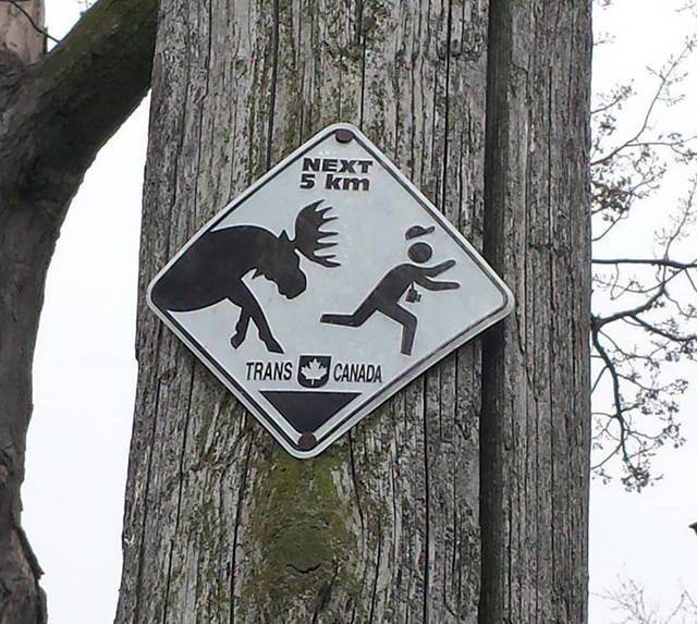 Content Image