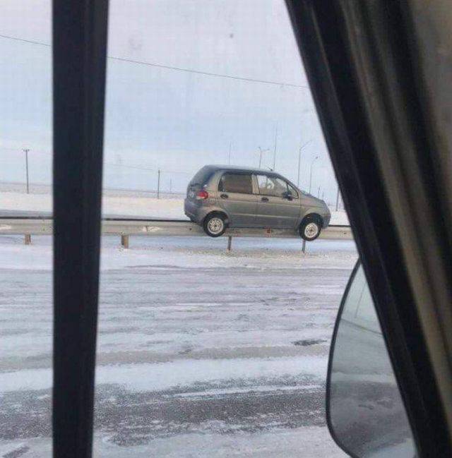 Daily Picdump