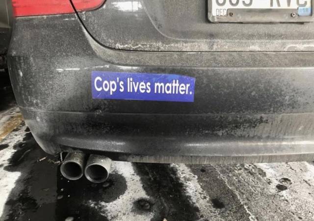 Morning Picdump