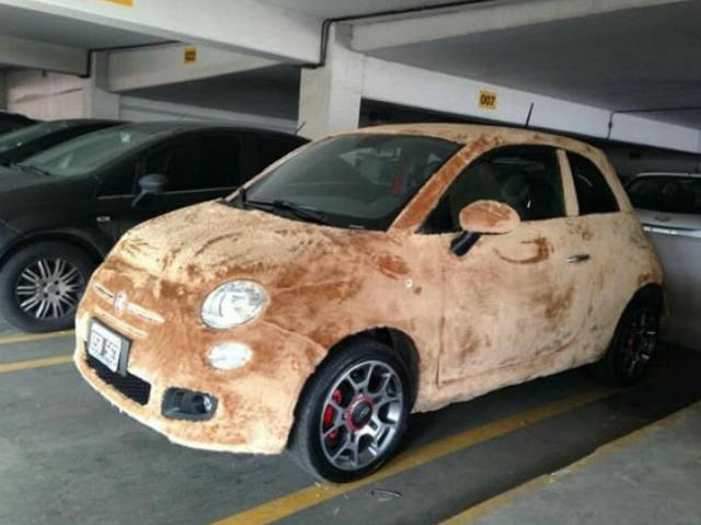 Morning Picdump