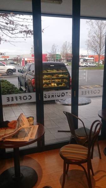 Morning Picdump