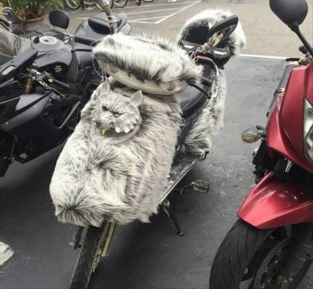 Morning Picdump