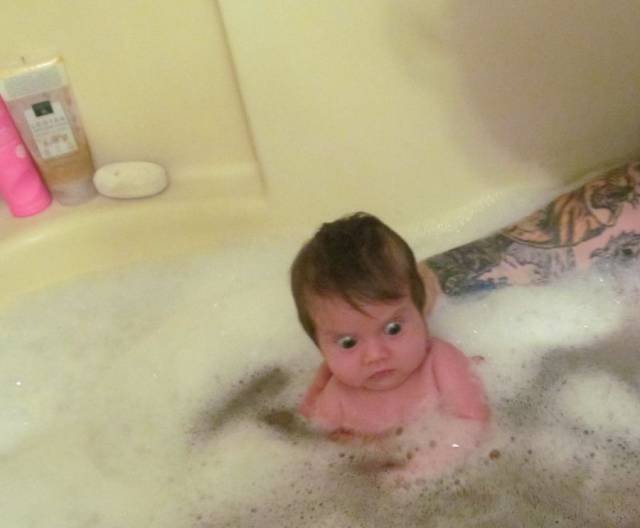 Daily Picdump