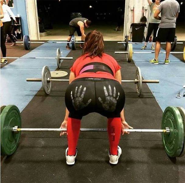 Daily Picdump