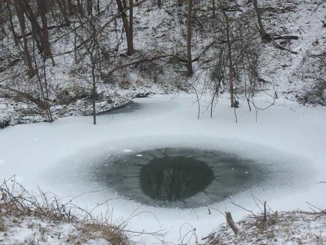 Content Image