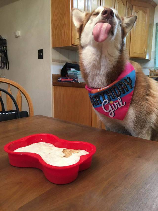 Content Image