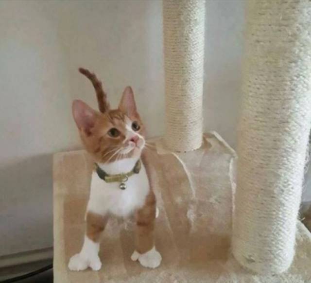 Morning Picdump
