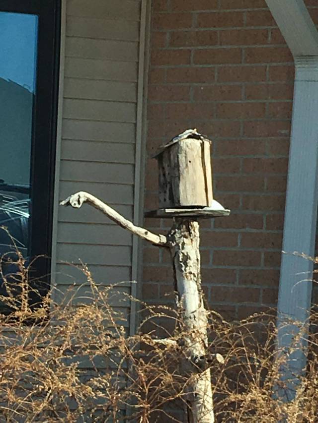 Content Image