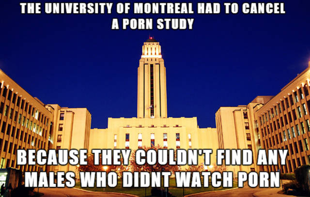 Some Rather Seducing Facts About Porn