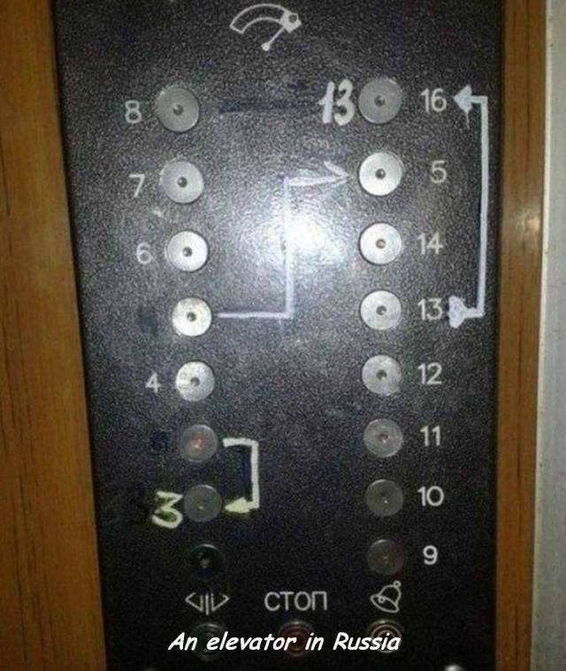 Daily Picdump
