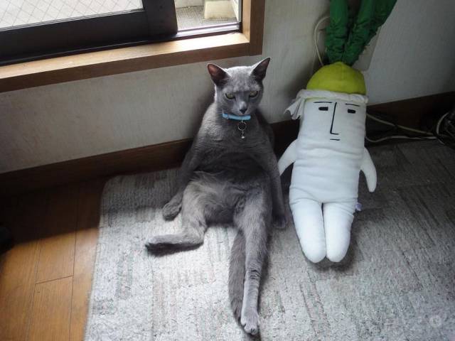 Content Image
