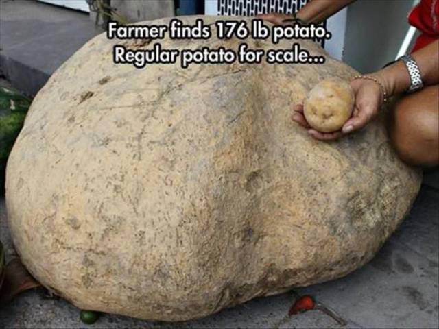 Content Image